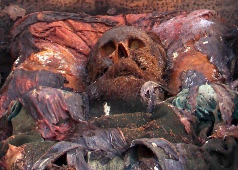 Ardahan'da temel kazısında Rus General'in mezarı bulundu