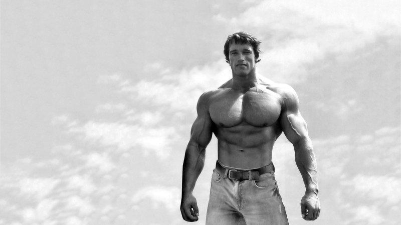 Ünlü aktör Arnold Schwarzenegger’e Fransız Şeref Nişanı