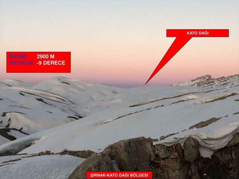 Şırnak'ta terör örgütüne büyük darbe