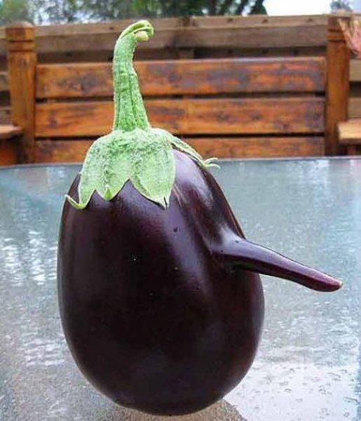 Sebze ve meyvelerin komik şekilleri 