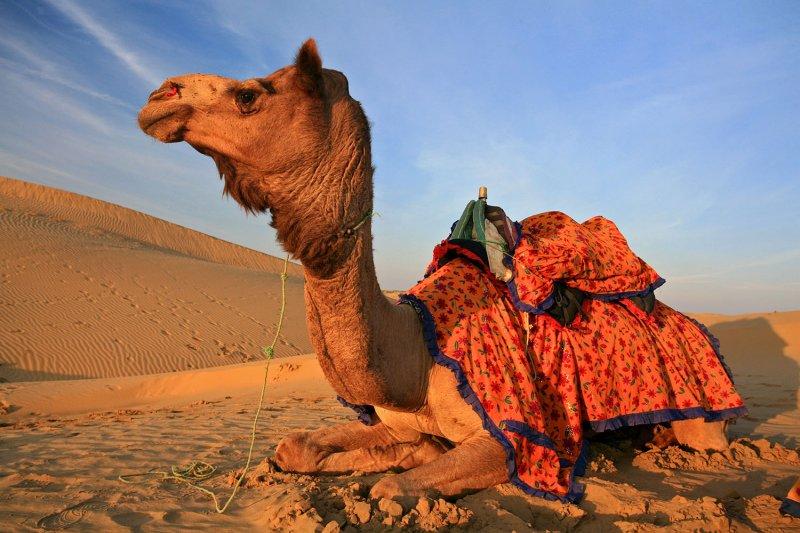 Toprakları kızıl şehir Marakeş 