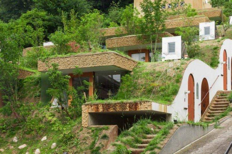 Japon mimardan mini yeşil site 