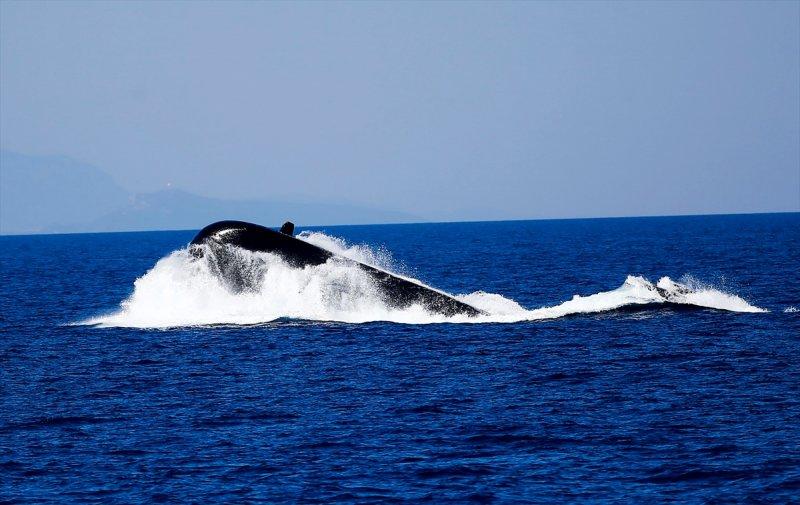 Temren Füzesi Denizkurdu 2017'de ilk kez kullanıldı