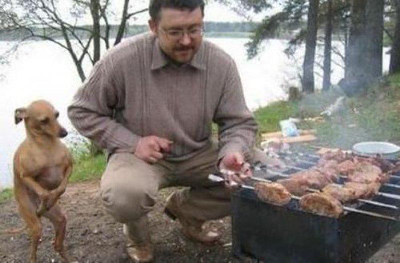 Vurdum duymaz hayvanların komik halleri 