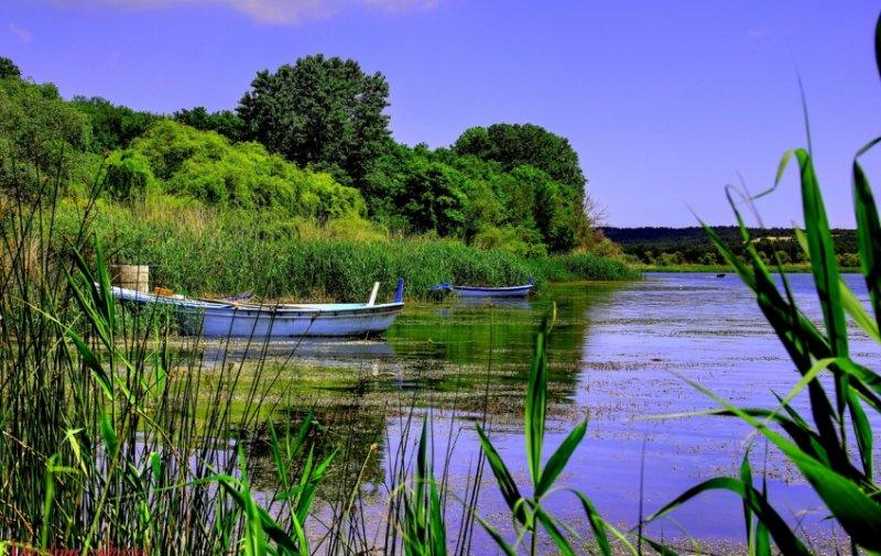 İstanbul'da hangi ilçede nereli yaşıyor