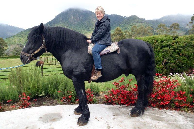 Dünya'da nadir bilinen 10 at cinsi