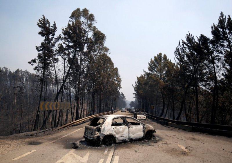 Portekiz'de orman yangını