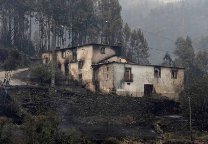 Portekiz'de orman yangını