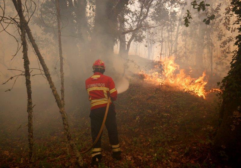 Portekiz'de orman yangını