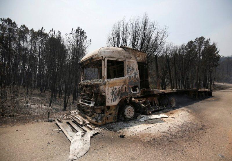Portekiz'de orman yangını