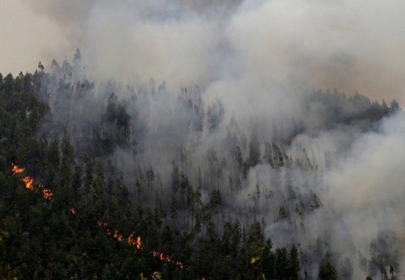 Portekiz'de orman yangını