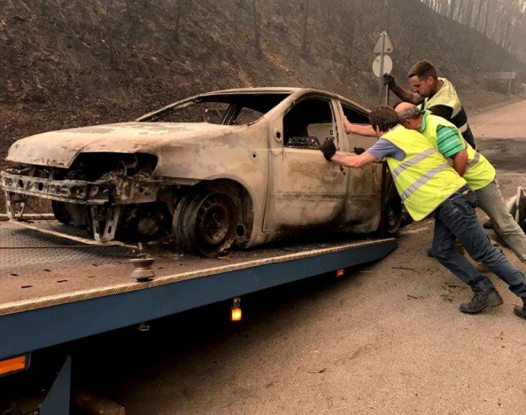 Portekiz'de orman yangını