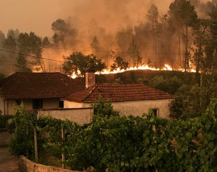 Portekiz'de orman yangını