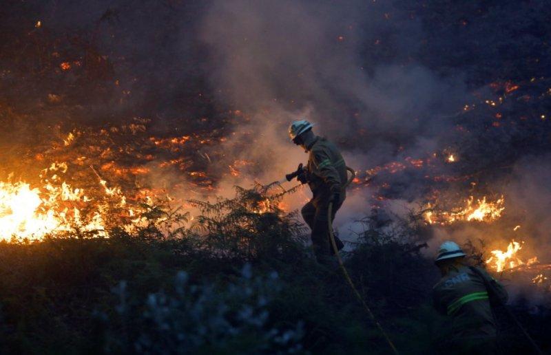 Portekiz'de orman yangını