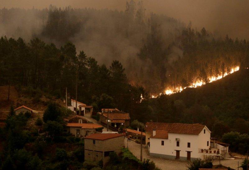 Portekiz'de orman yangını