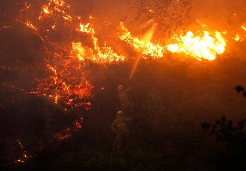 Portekiz'de orman yangını