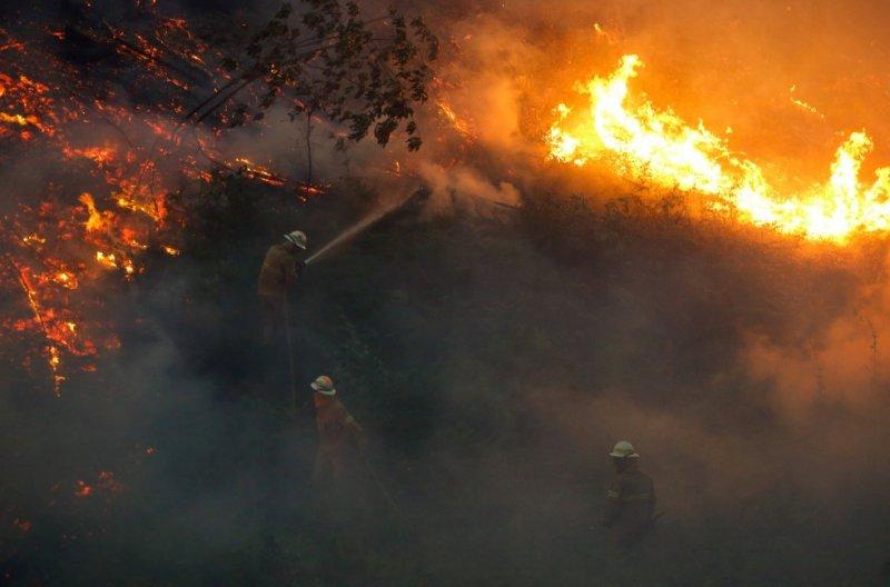 Portekiz'de orman yangını