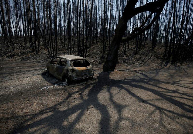 Portekiz'de orman yangını