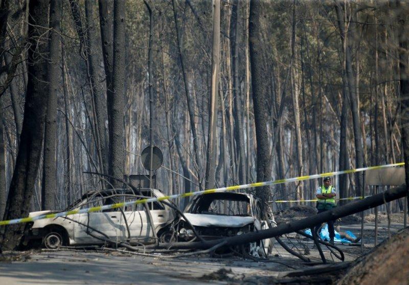 Portekiz'de orman yangını