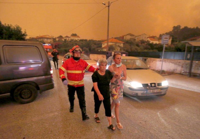 Portekiz'de orman yangını