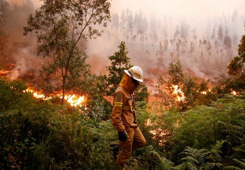 Portekiz'de orman yangını
