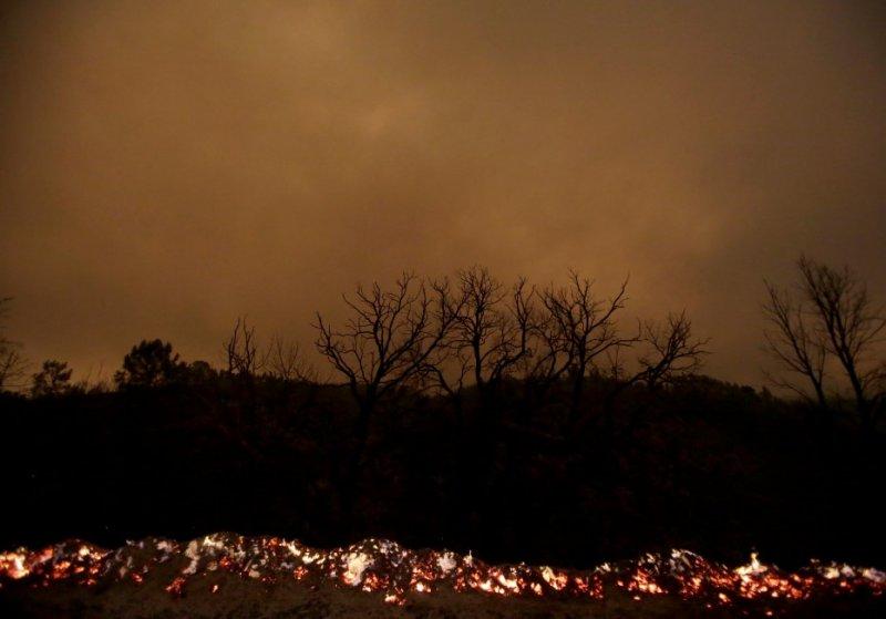 Portekiz'de orman yangını