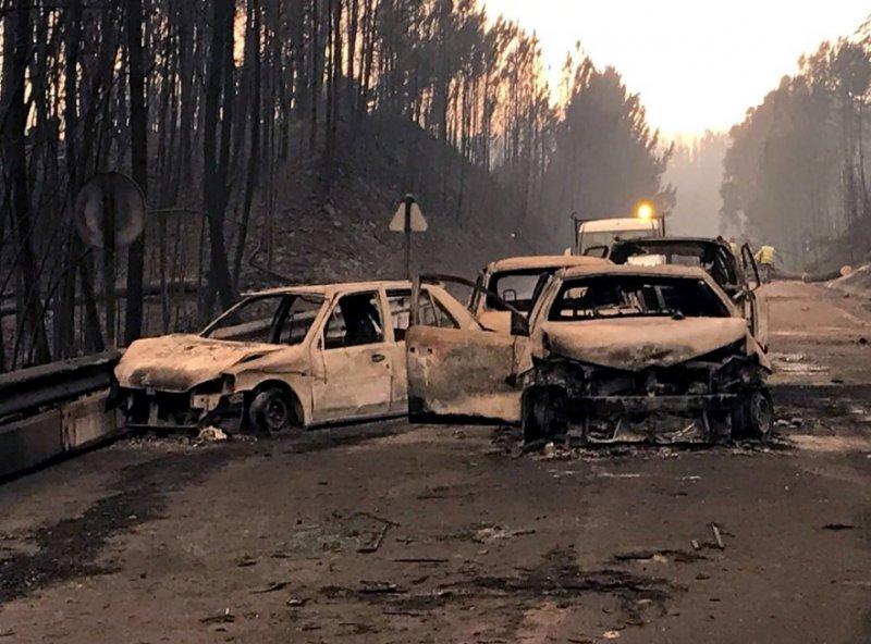 Portekiz'de orman yangını