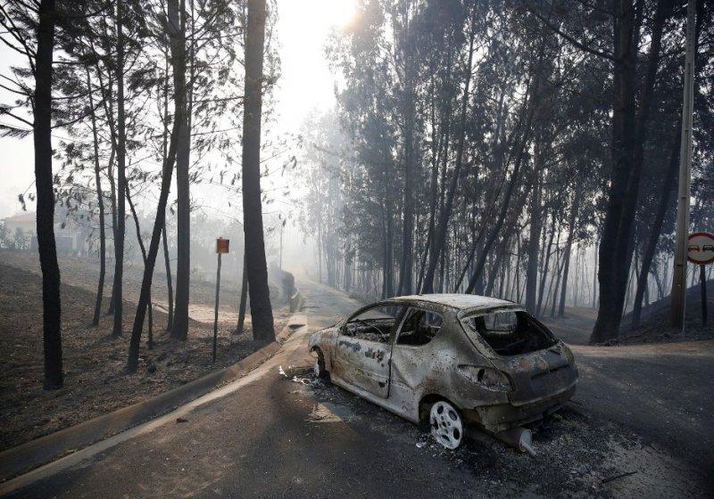 Portekiz'de orman yangını