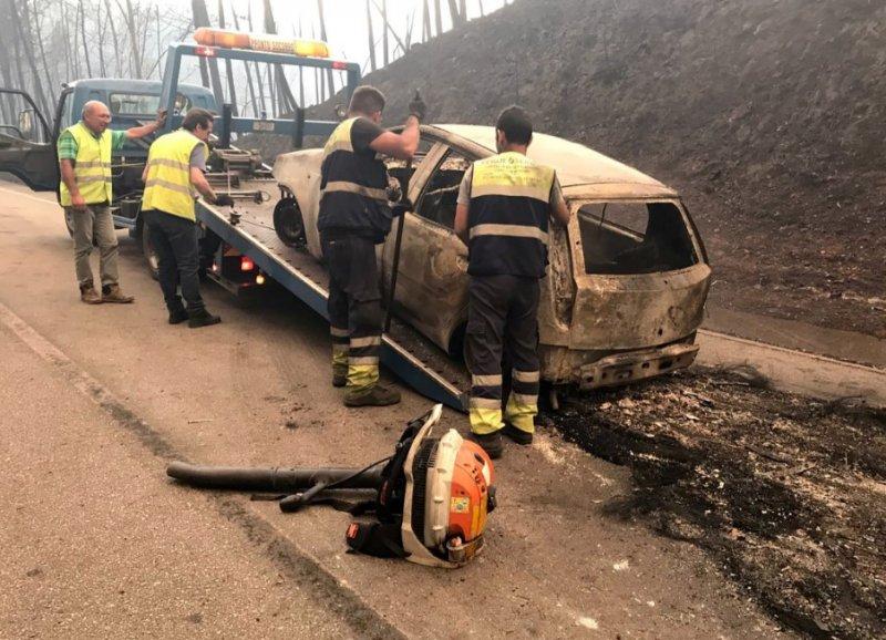 Portekiz'de orman yangını