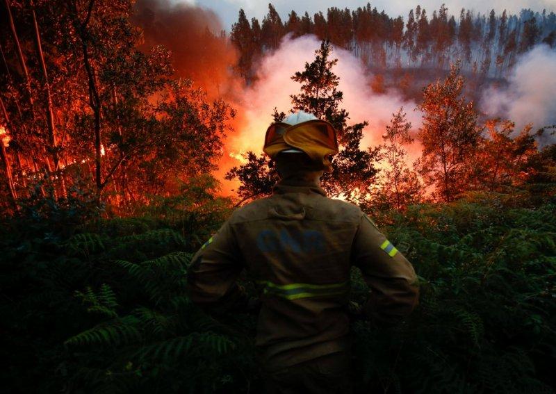 Portekiz'de orman yangını