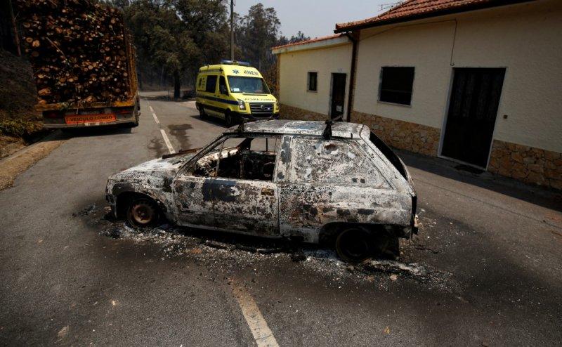 Portekiz'de orman yangını