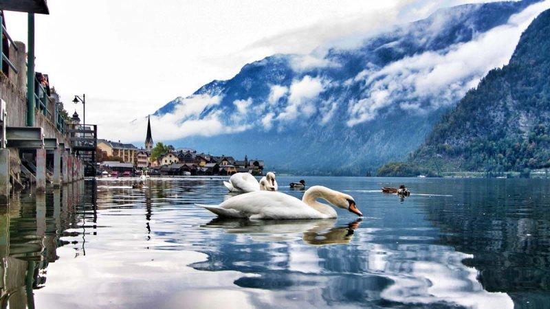 Dünyanın en güzel köyü: Hallstatt