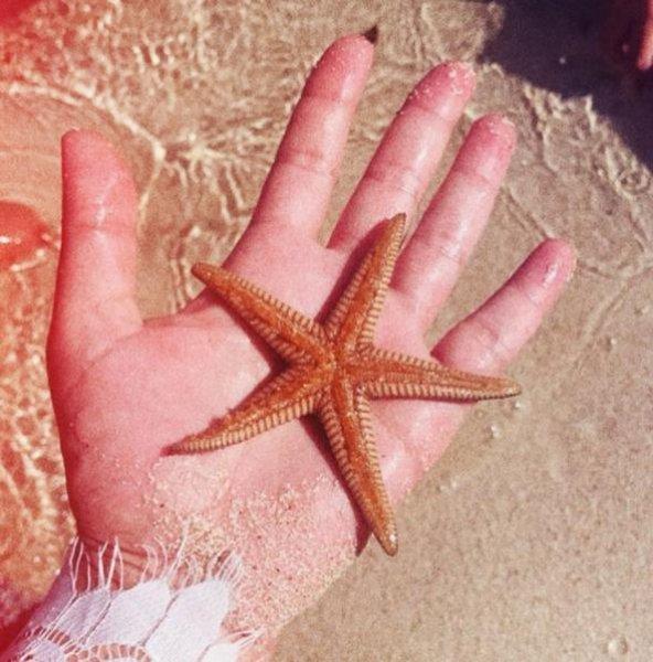 8 aylık hamile Zeynep Demirel bikini giydi