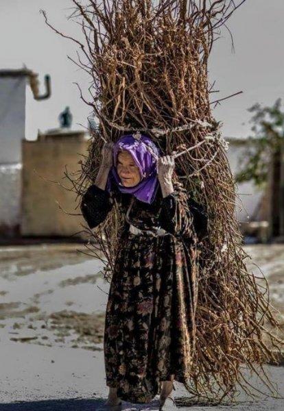 Anadolu'nun emektar insanları 