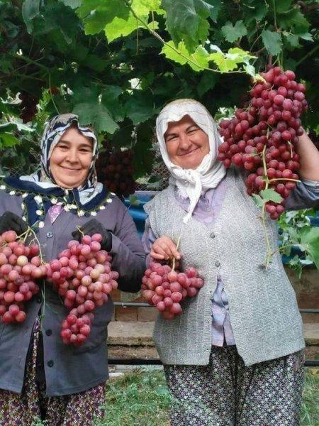 Anadolu'nun emektar insanları 