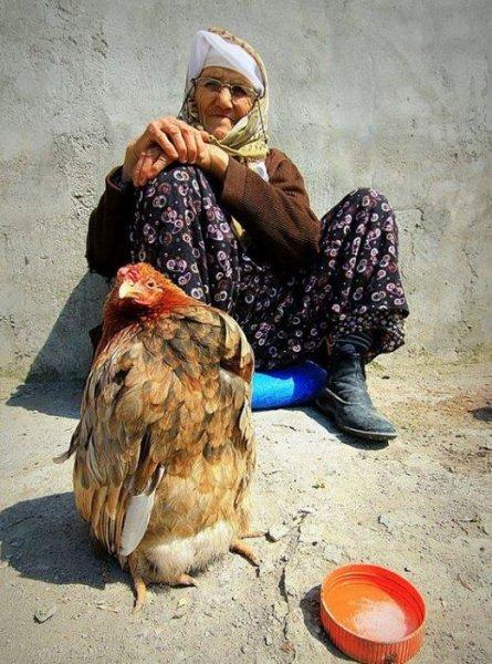 Anadolu'nun emektar insanları 