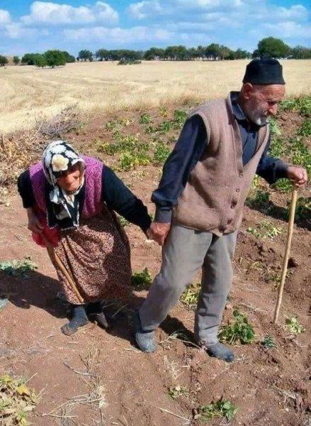 Anadolu'nun emektar insanları 