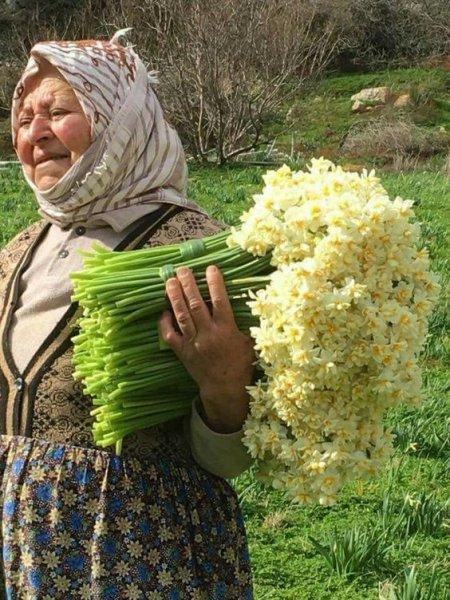 Anadolu'nun emektar insanları 