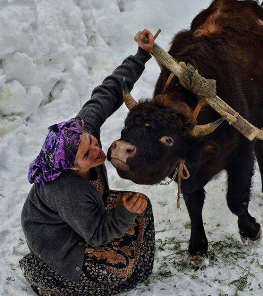 Anadolu'nun emektar insanları 