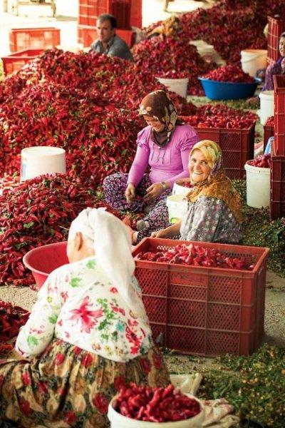 Anadolu'nun emektar insanları 