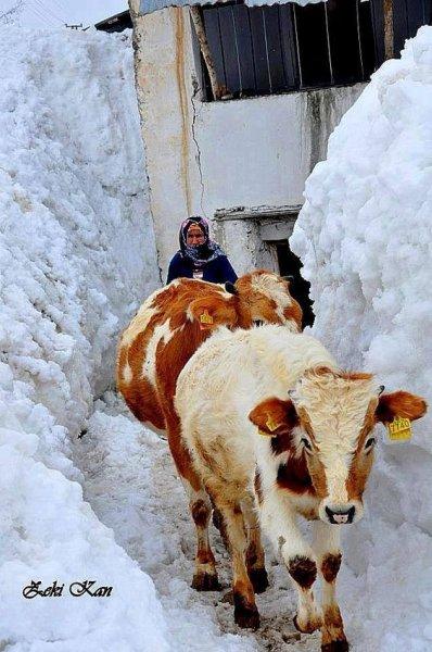 Anadolu'nun emektar insanları 