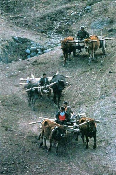Anadolu'nun emektar insanları 