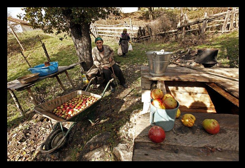 Anadolu'nun emektar insanları 
