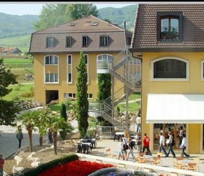 Dünyanın en pahalı okulu  İsviçre'de bulunuyor 