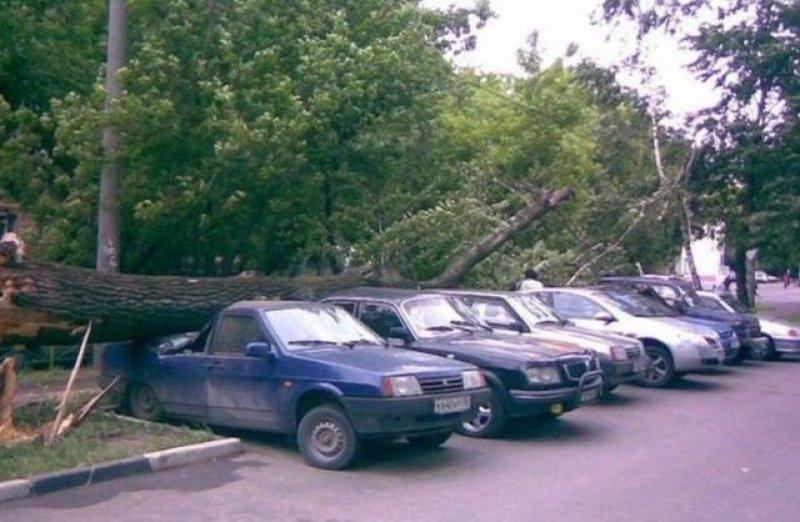 En ilginç otomobil kazaları 