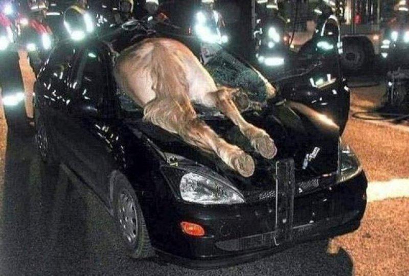 En ilginç otomobil kazaları 