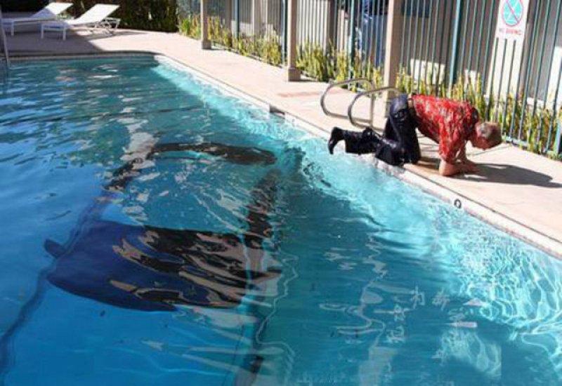 En ilginç otomobil kazaları 