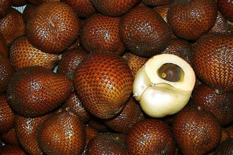 Tropikal bölgelerde yetişen 20 farklı meyve