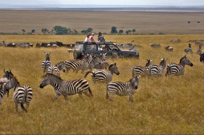 Kenya'dan muhteşem safari fotoğrafları 