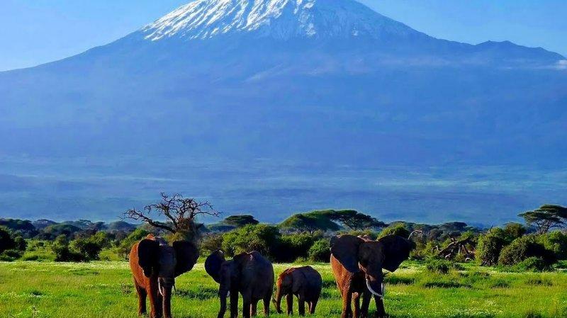 Kenya'dan muhteşem safari fotoğrafları 